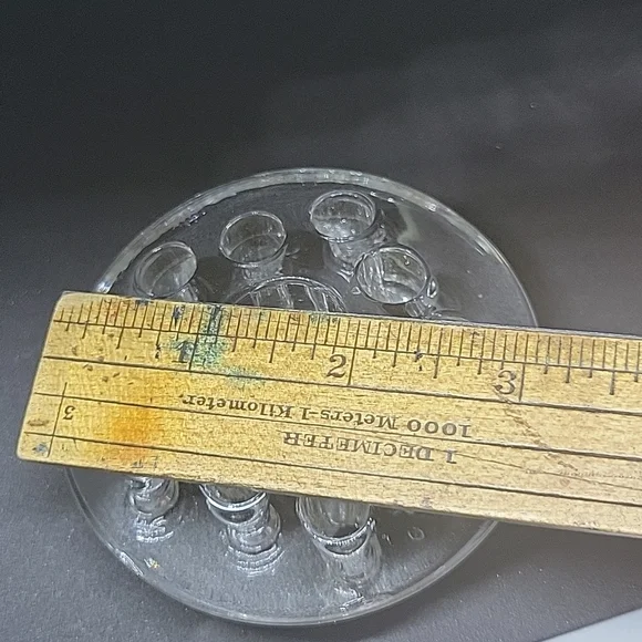 Frog - Picture 4 of 5